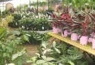 Bilbulplant-nursery-7.jpg; ?>